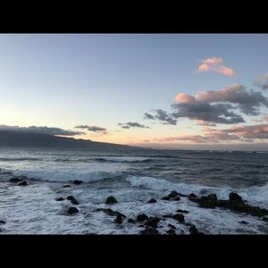 Meet your Posher, Mackenzie